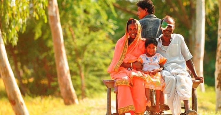 the remote Sunderbans